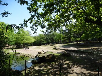Zoo Münster