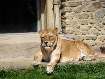 Zoo-Osnarbrück
